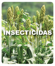 insecticidas